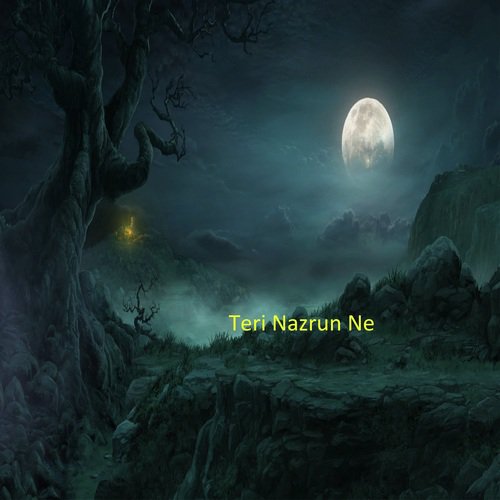 Teri nazrun ne - Toshi Sabri