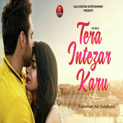 Tera Intezar Karu - Salamat Ali Siddigui
