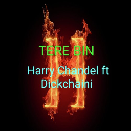 Tere Bin - Harry Chandel, Dickchaini