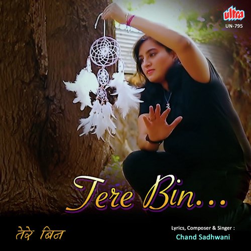 Tere Bin Main Nahi - Chand Sadhwani
