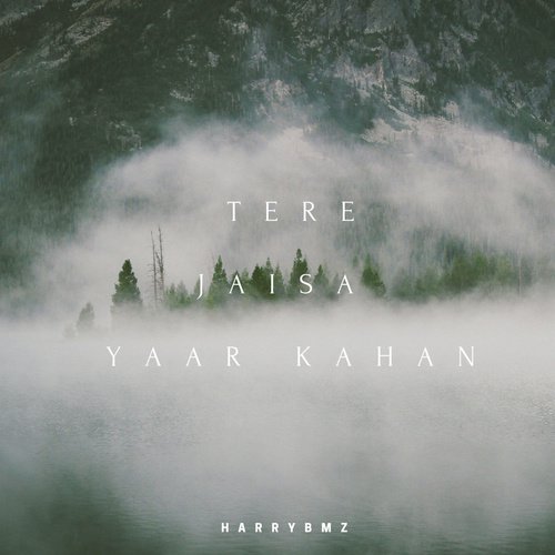 Tere Jaisa Yaar Kahan - harry bmz