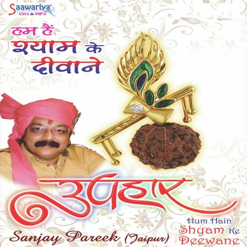 Hum Hare - Sanjay Parik