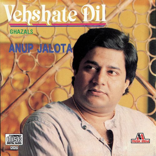 Juda Hue Woh Log (Album Version) - Anup Jalota