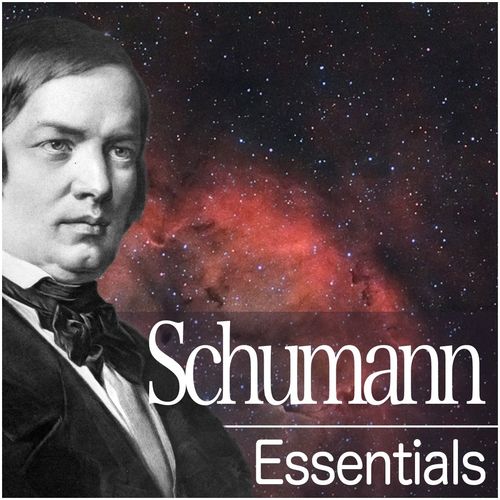 Dichterliebe Op.48  IV Wenn ich in deine Augen seh - Various Artists
