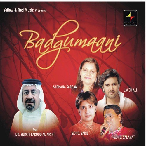 Kaise Safar - Various Artists