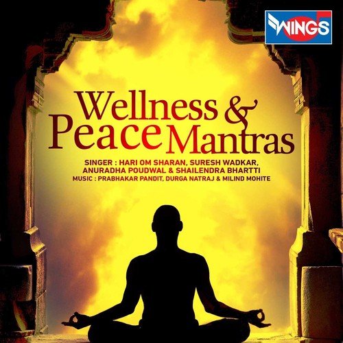 Maha Mrityunjay Mantra - Various Artists