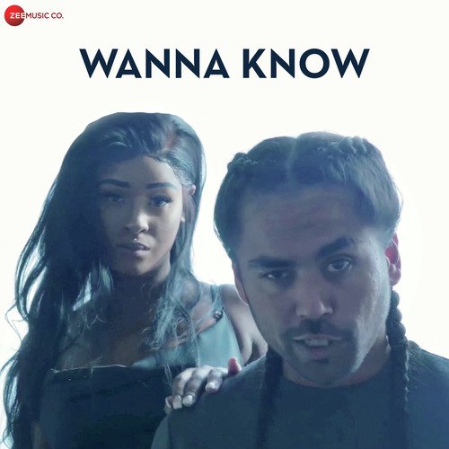 Wanna Know - Msg, Shivam Tanna