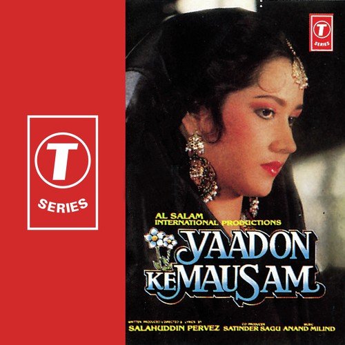 Chaudhvin Raat Hai - Anand-Milind, Anuradha Paudwal