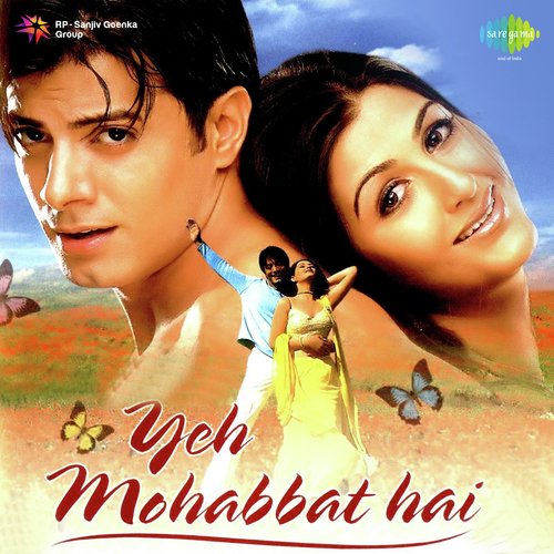 Yeh Dil Deewana Hai - Anand Raj Anand