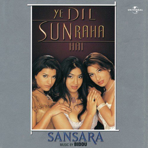 The Mega Remix (Album Version) - Sansara