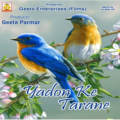 Jumma Jumma - Nitesh Raj, Anjani Shrivastava