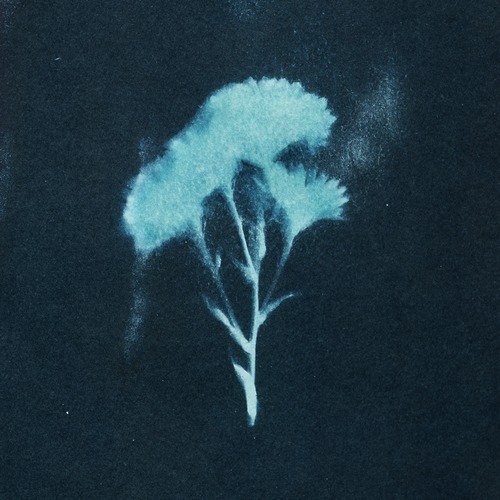 Yaadon Ka Bundergah - Rono