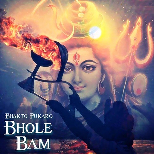Shiv Shankar Ke Diwane - Various Artists