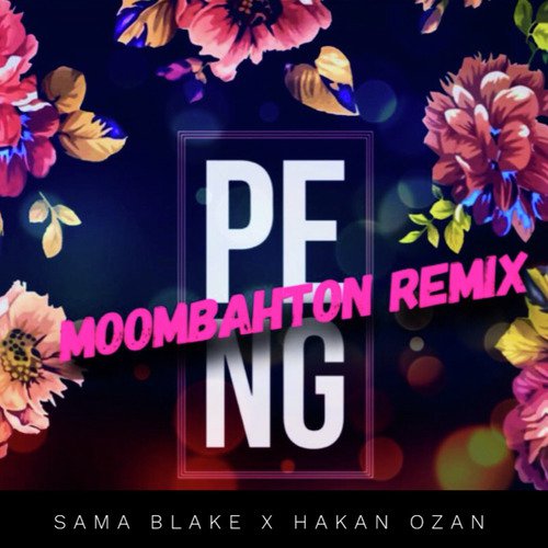 Peng Moombahton Remix - Imran Khan