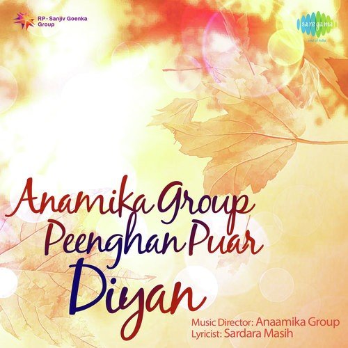 Teri Meri - Anaamika Group