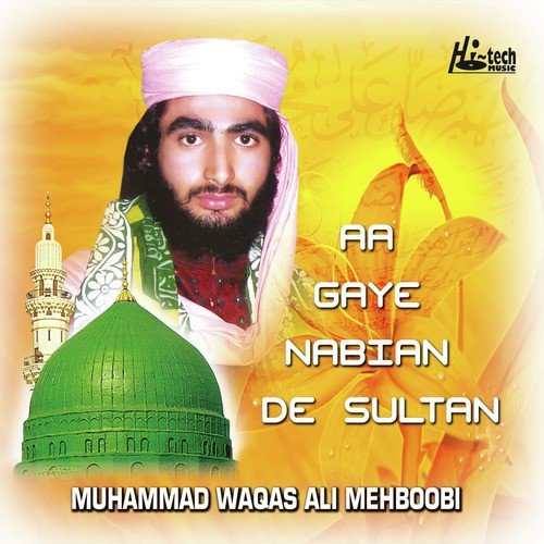 Aa Gaye Nabian De Sultan - Muhammad Waqas Ali Mehboobi