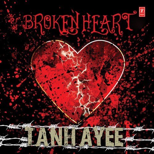 Layi Vi Na Gayee - Various Artists