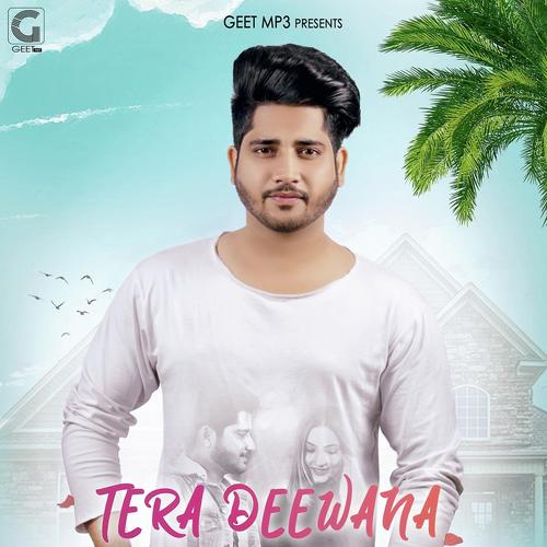Tera Deewana - Sheenz Arora