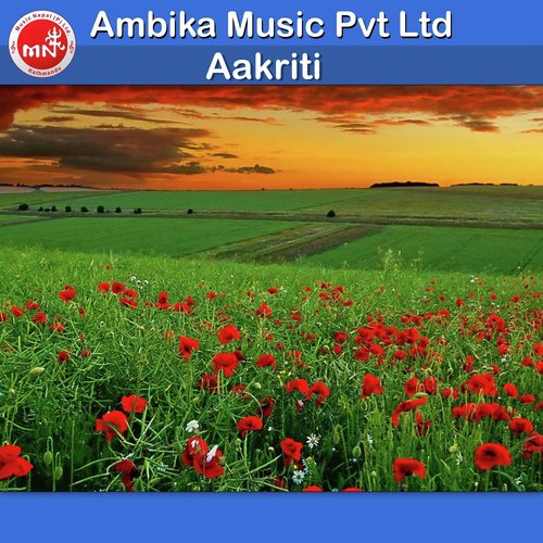 Timilainai Dekhna Pau - Various Artists