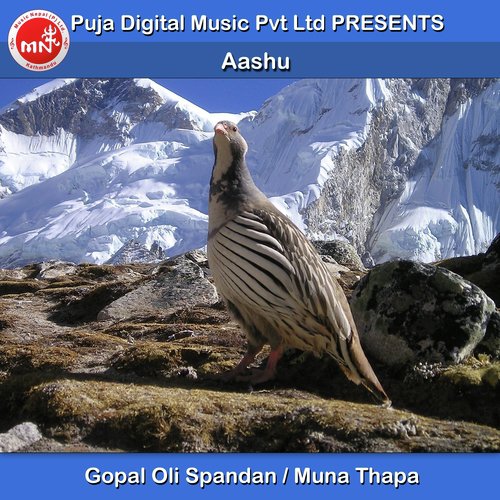 Aashu - Gopal Oli Spandan, Muna Thapa