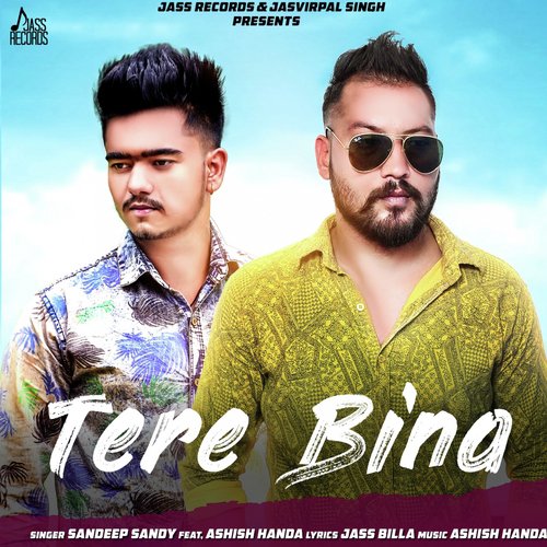 Tere Bina - Rajat, Roma Sagar