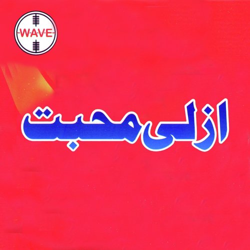 Tera Naiyon Des - Various Artists