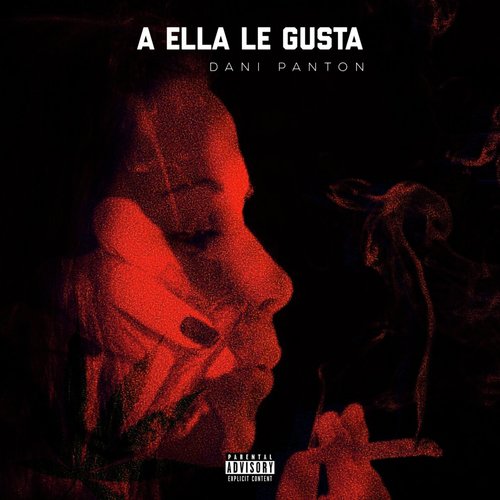 A Ella Le Gusta - Dani Fanton