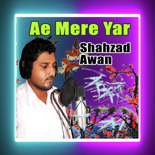Ankhiyan Wich Pa Surma - Shahzad Awan