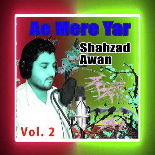 Dhool Pasand Kita - Shahzad Awan
