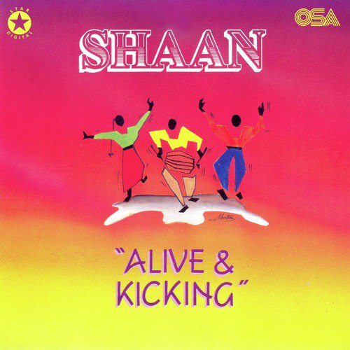 The Kicking Mix - Shaan