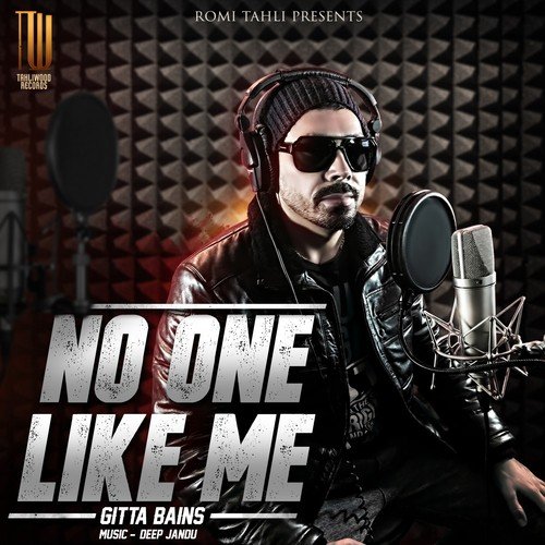 No One Like Me - Vishoo