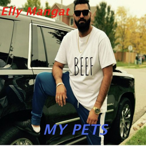 My Pets - Sultaan