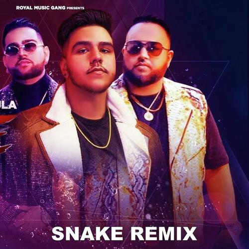 Snake Remix - Deep Jandu