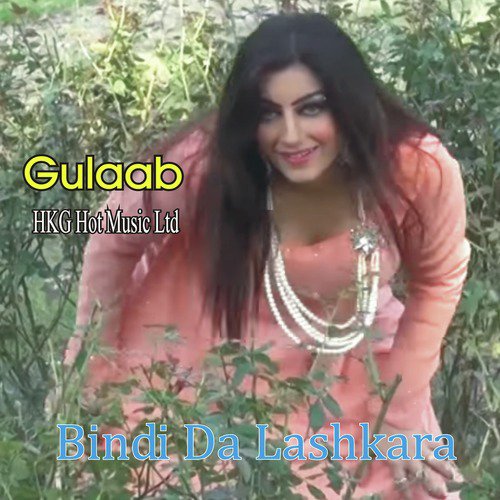 Akh Teri Mera Kamkar Gai - Gulaab