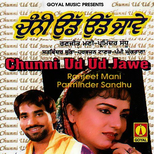 Jattan De Put - Various Artists