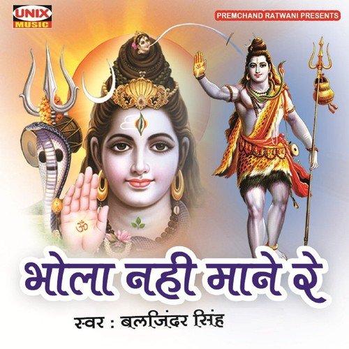 Vinati Meri Swikaaro - Baljinder Shingh