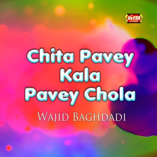 Kadi Kadi Sanu - Wajid Baghdadi