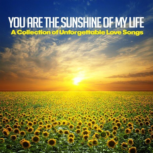 This Is Your Life - Various Artists