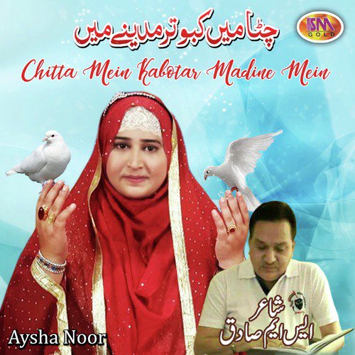 Menu Widya Karn Lai Aao - Aysha Noor