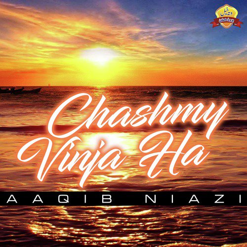 Chashmy Vinja Ha - Aaqib Niazi
