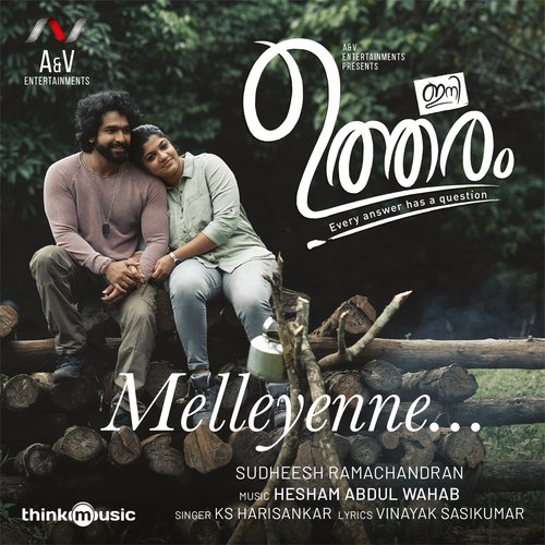 Melleyenne - Hesham Abdul Wahab