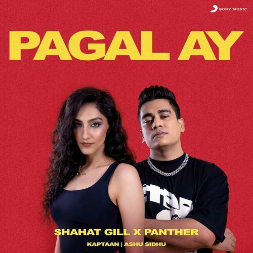 Pagal Ay - Shahat Gill, Panther