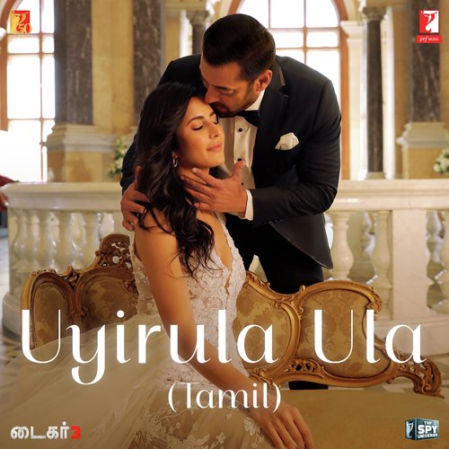 Uyirula Ula (From Tiger 3) - Tamil Version  - Pritam, Abhay Jodhpurkar, Madhan Karky