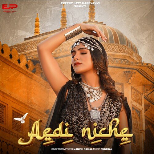 Aedi Niche - Manish Rawal