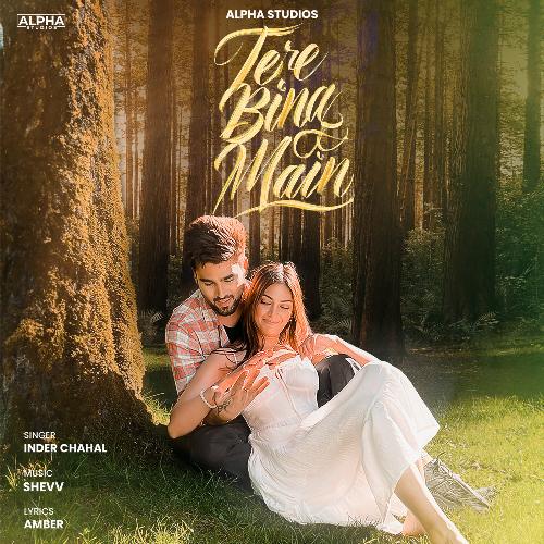 Tere Bina Main - Inder Chahal, Shevv