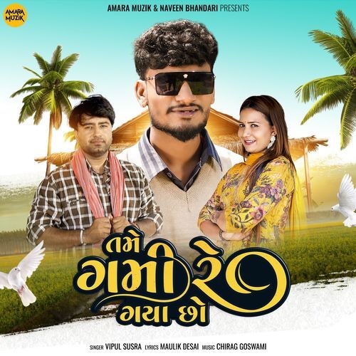Tame Gami Re Gayo Cho - Chirag Goswami, Vipul Susra