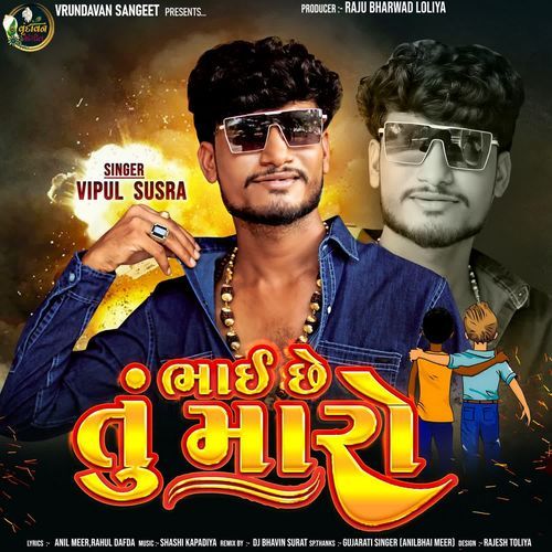 Bhai Chhe Tu Maro - Vipul Susra