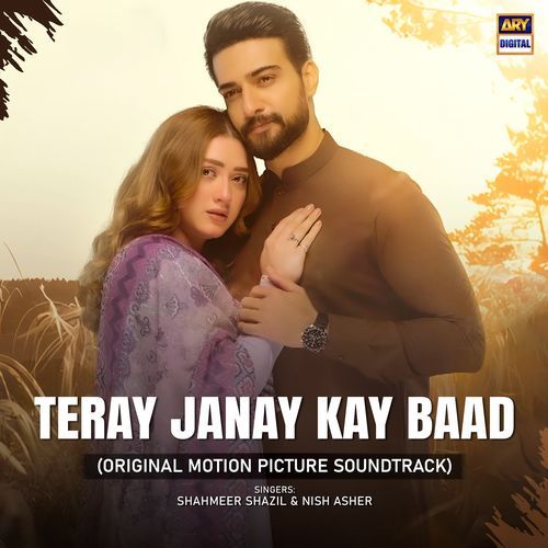 Teray Janay Kay Baad (Original Motion Picture Soundtrack) - Shahmeer Shazil, Nish Asher