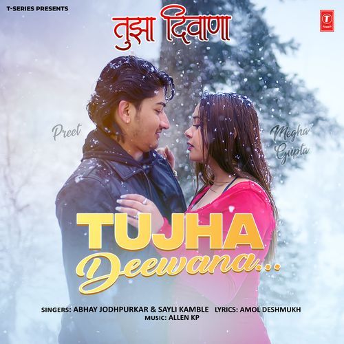 Tujha Deewana - Abhay Jodhpurkar