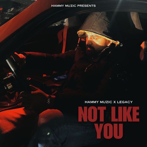 Not Like You - Hammy Muzic